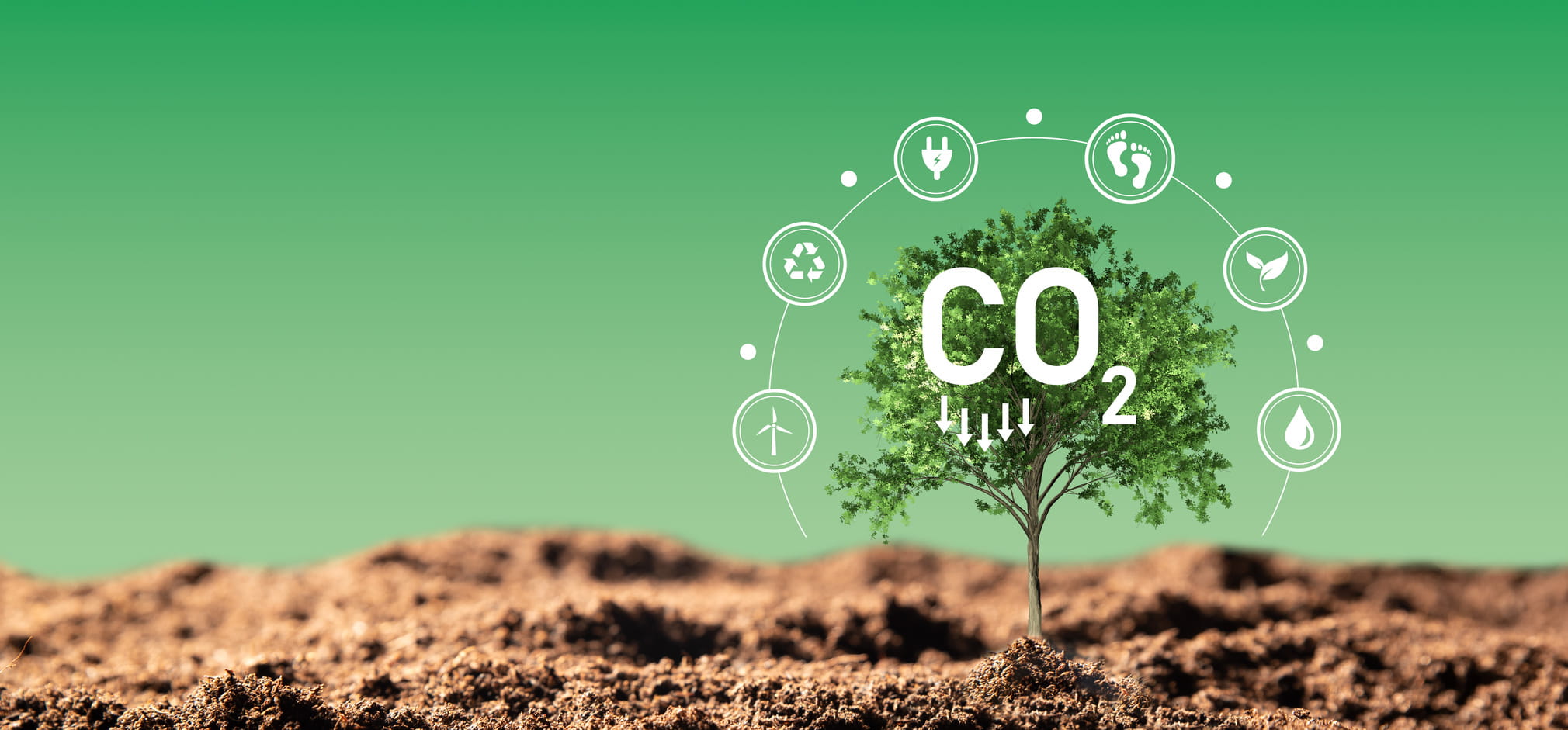 CO2-Fußabdruck von Einwegprodukten realistisch senken