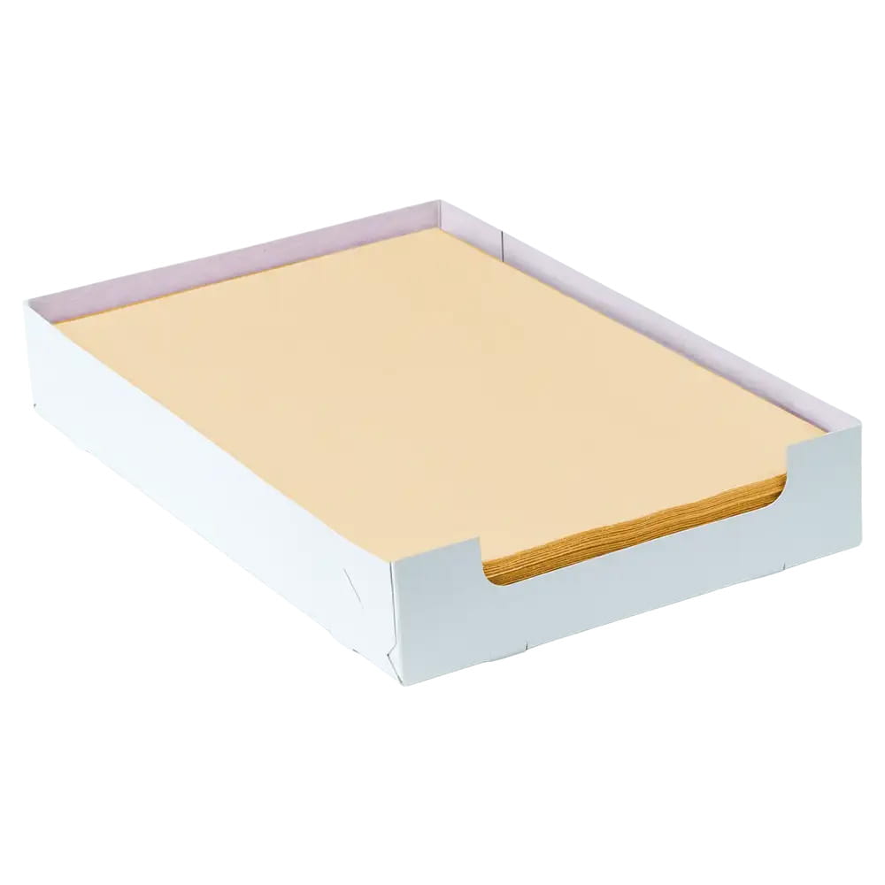 Einweg Tray-Filterpapier in der Box, 18 x 28 cm, Farbe orange, Zellstoff