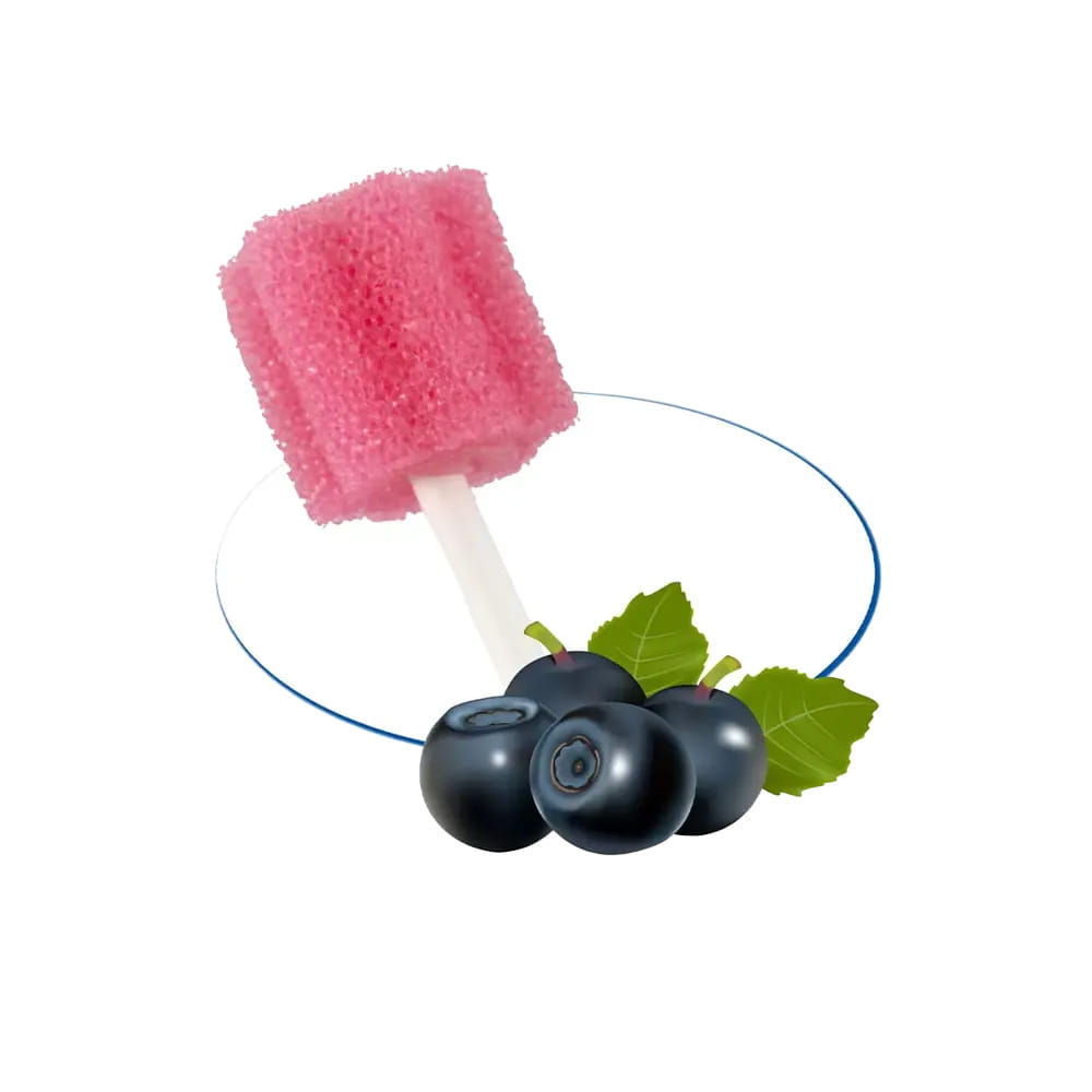 PP Mundpflegestäbchen mit PU Schwamm, 100 mm, Geschmack Johannisbeere, Kopf rosa, Top-Comfort PP Mundpflegestäbchen mit PU Schwamm, 100 mm, Geschmack Johannisbeere, Kopf rosa, Top-Comfort